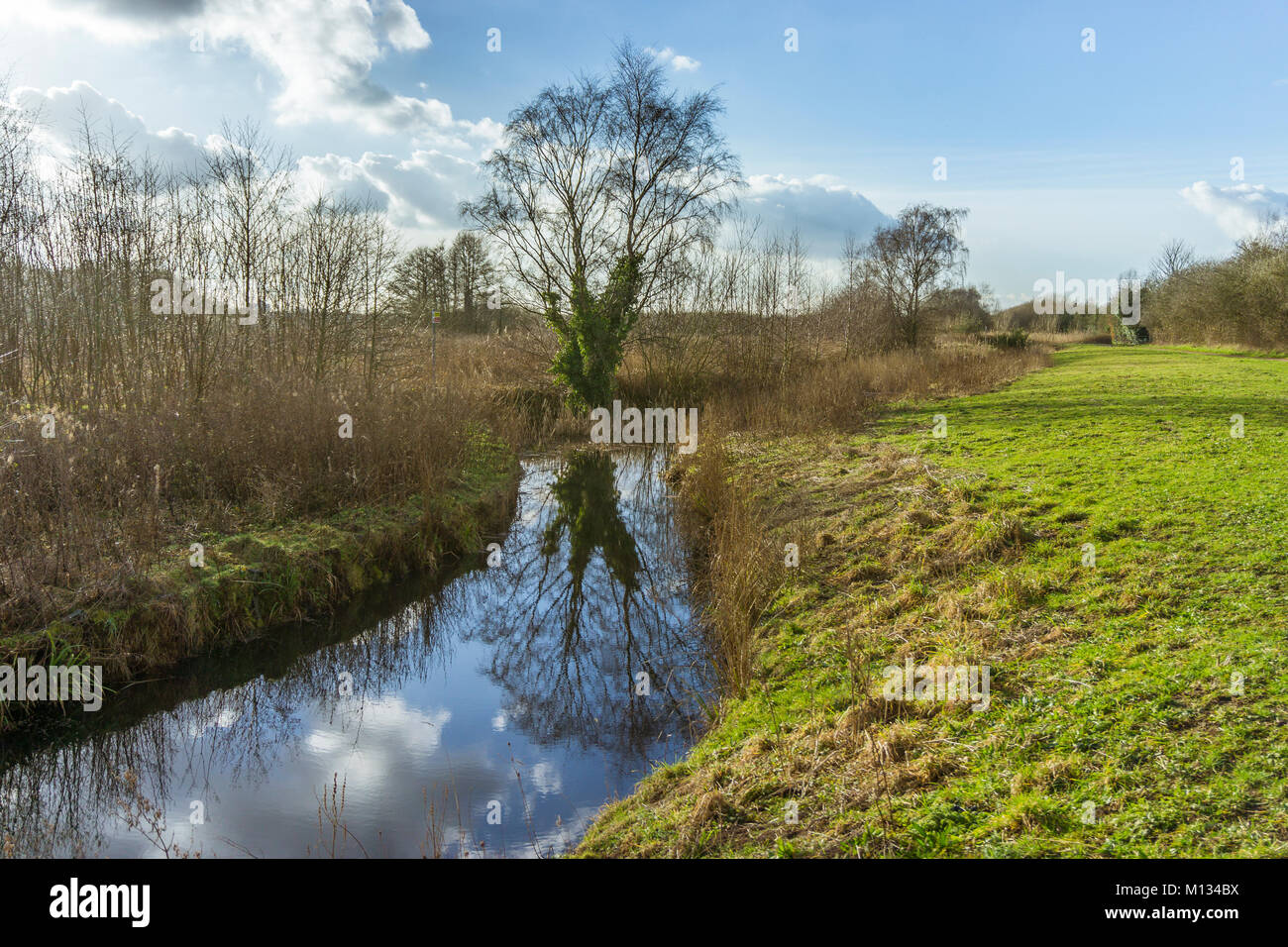 A view of Padgate Meadows in Warrington, Cheshire, UK Stock Photo - Alamy