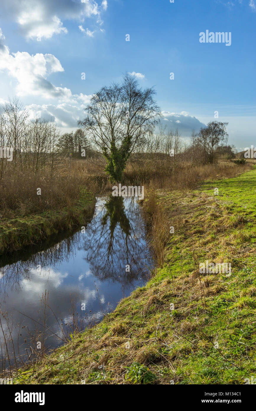 A view of Padgate Meadows in Warrington, Cheshire, UK Stock Photo - Alamy