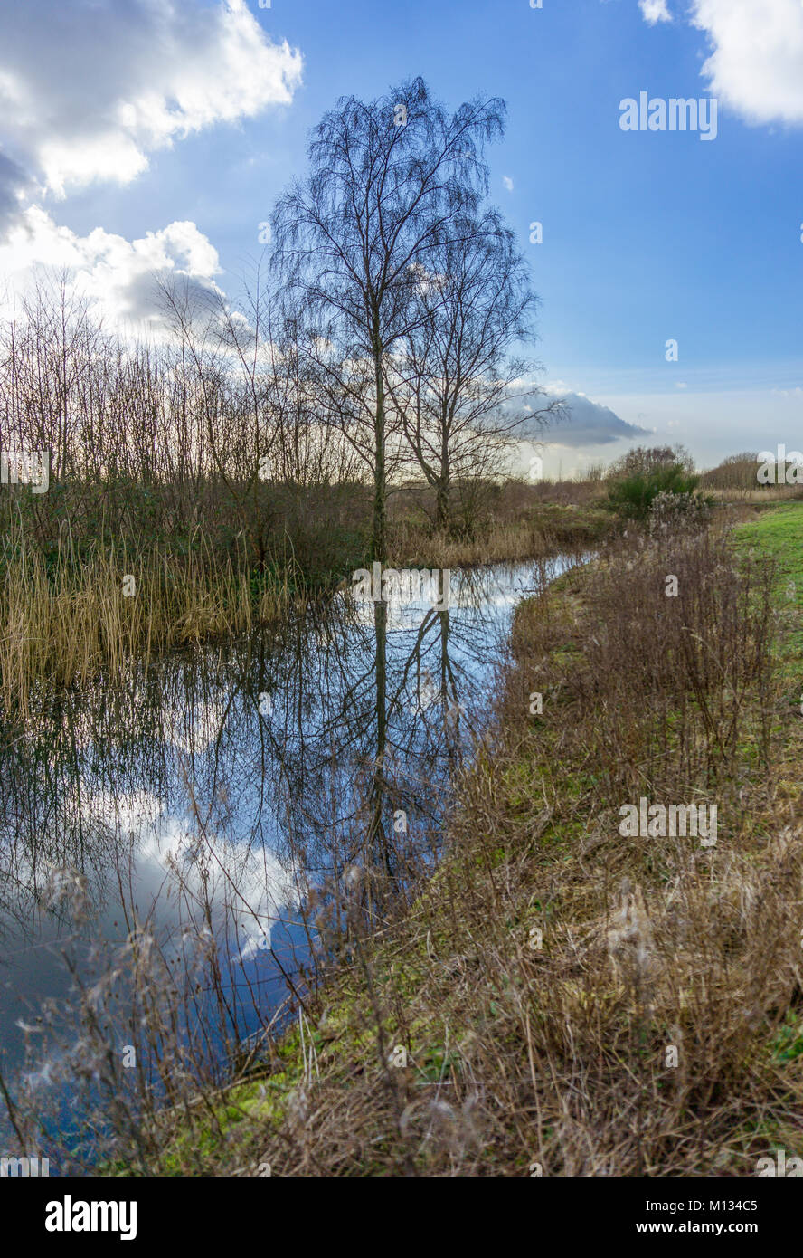 A view of Padgate Meadows in Warrington, Cheshire, UK Stock Photo - Alamy