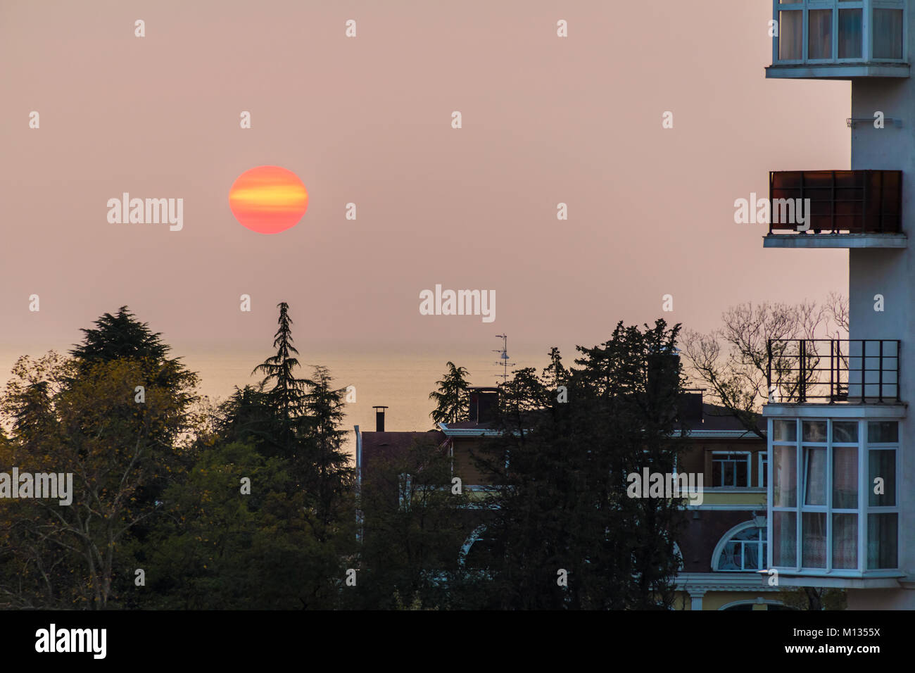 The setting sun over the sea behind the aparment buildings and trees ...