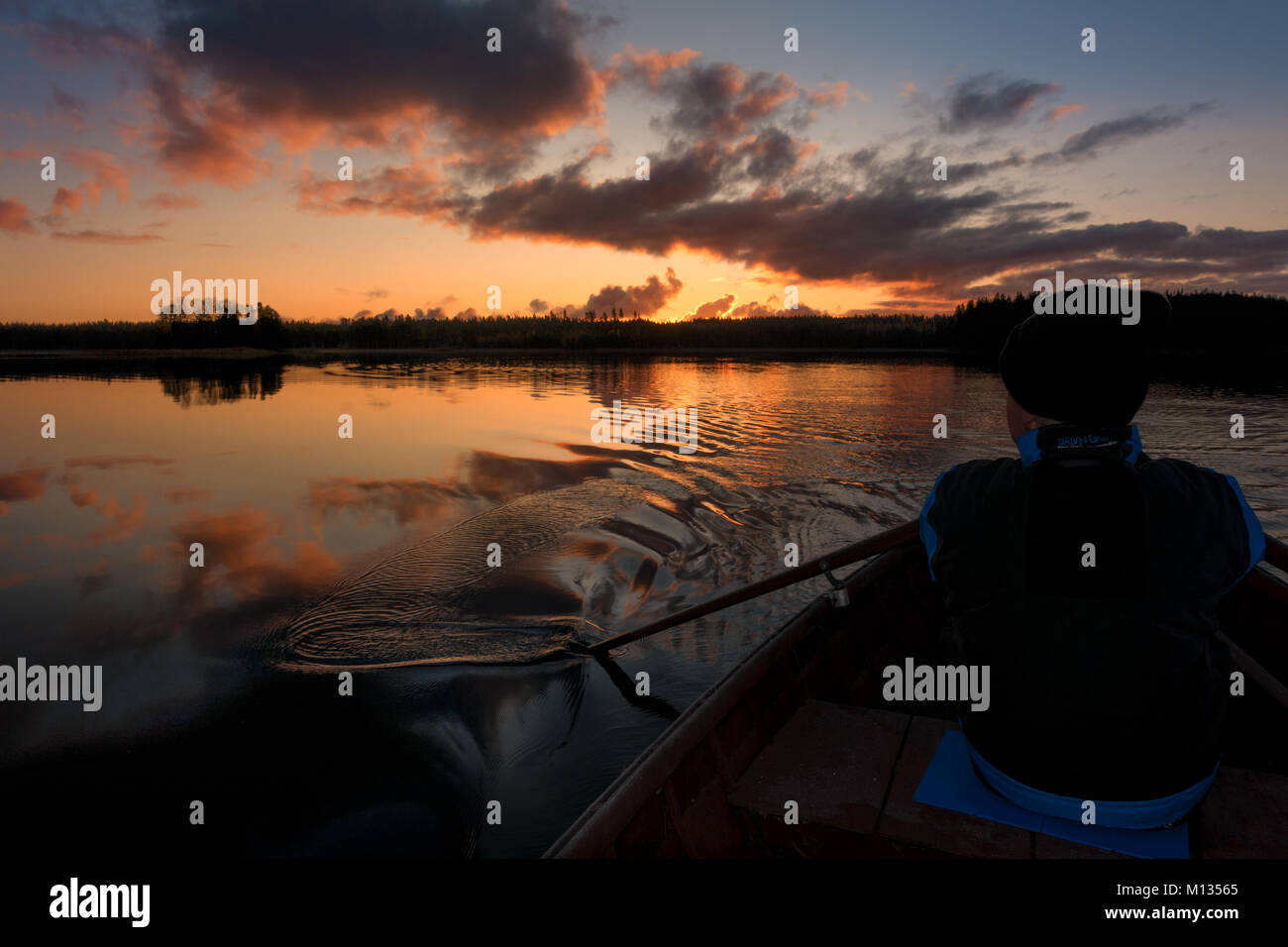 Finnish landscapes: Man rowing a row boat with oars on a calm lake in a beautiful sunrise, Finland Stock Photo