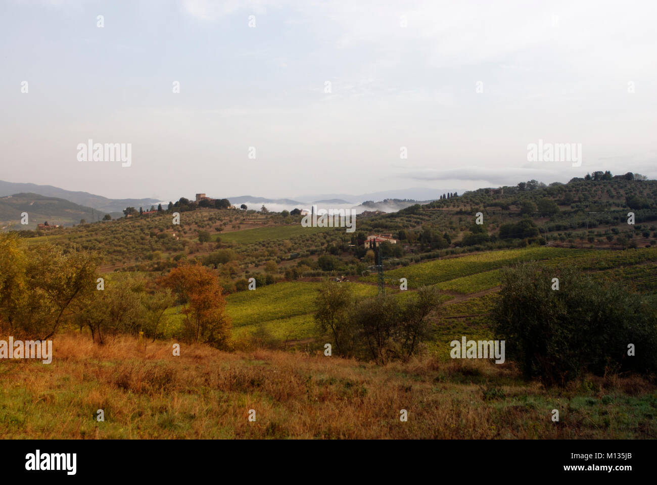 Chianti shire landscape Stock Photo