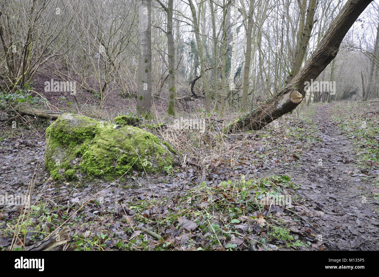 The Great Stone of Lyng, Norfolk, UK Stock Photo Alamy