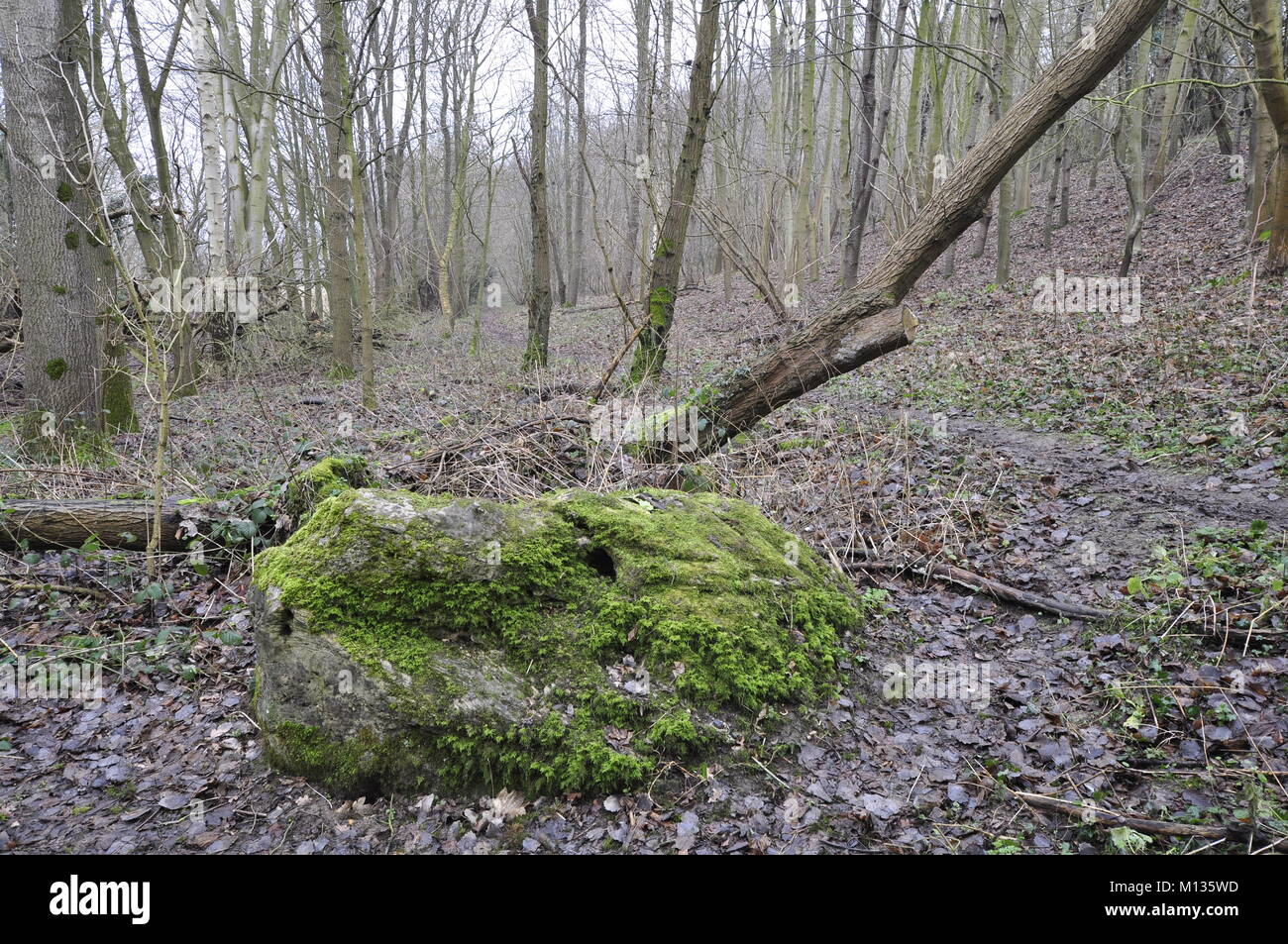 The Great Stone of Lyng, Norfolk, UK Stock Photo Alamy