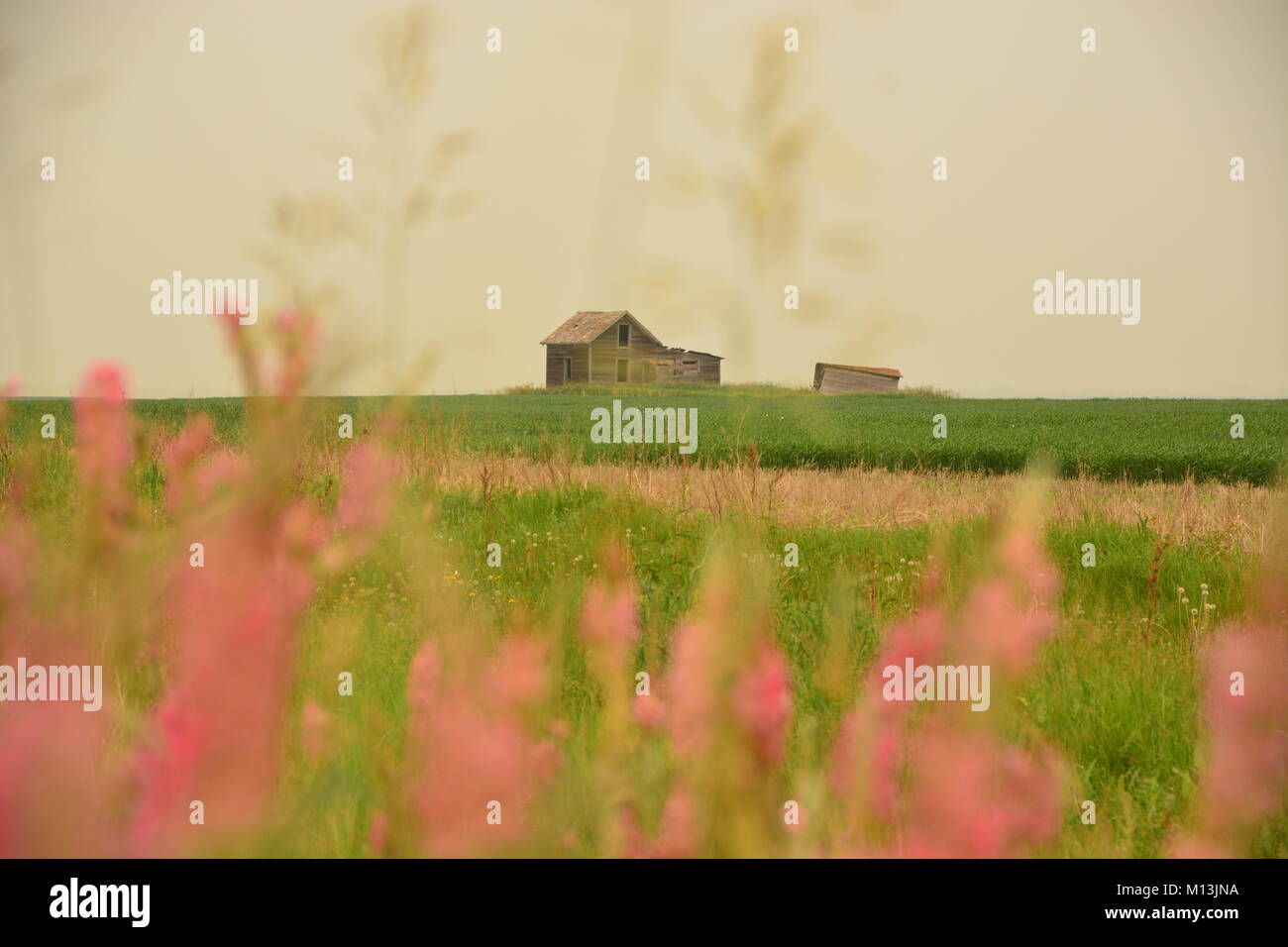 Run down farmhouse hi-res stock photography and images - Alamy
