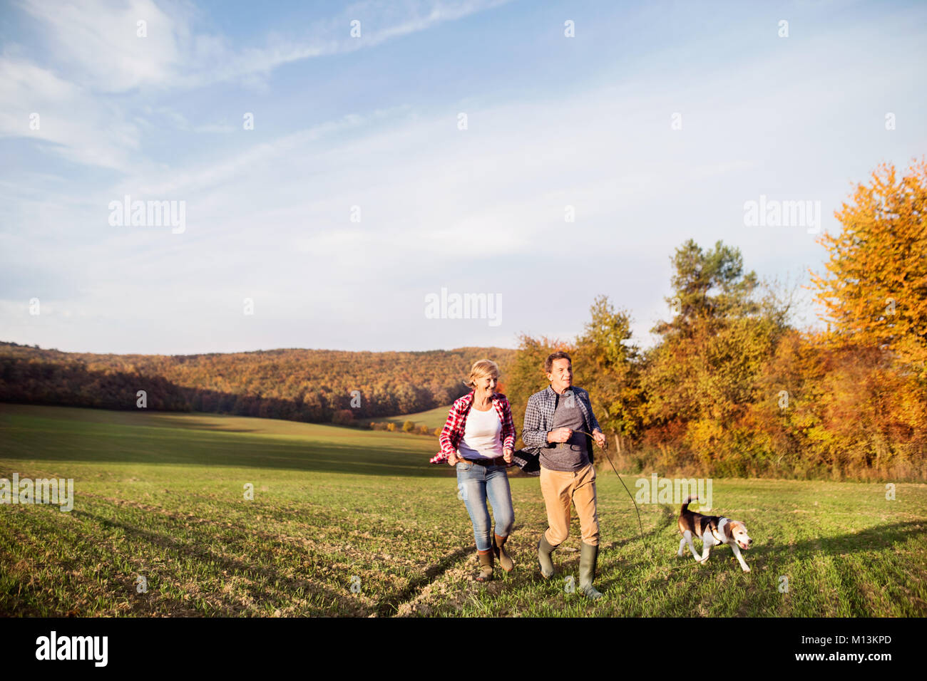 Senior couple with dog on a walk in an autumn nature Stock Photo - Alamy