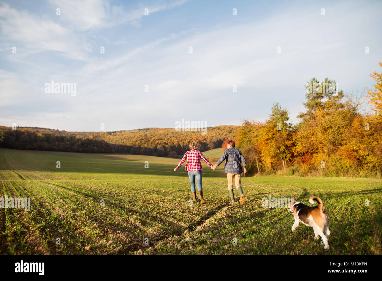 Senior couple with dog on a walk in an autumn nature Stock Photo - Alamy