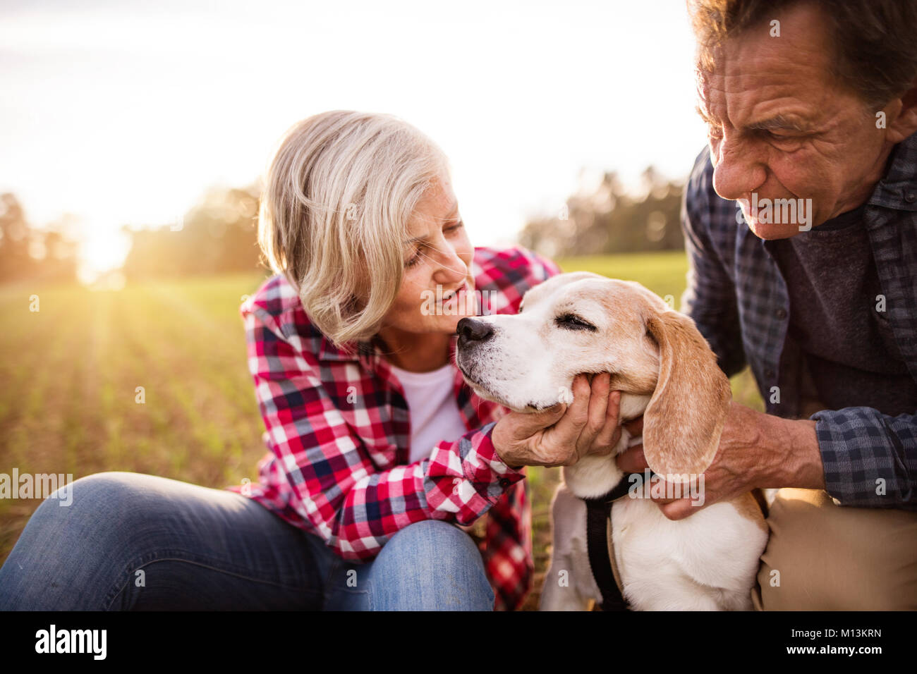Senior couple with dog on a walk in an autumn nature Stock Photo - Alamy