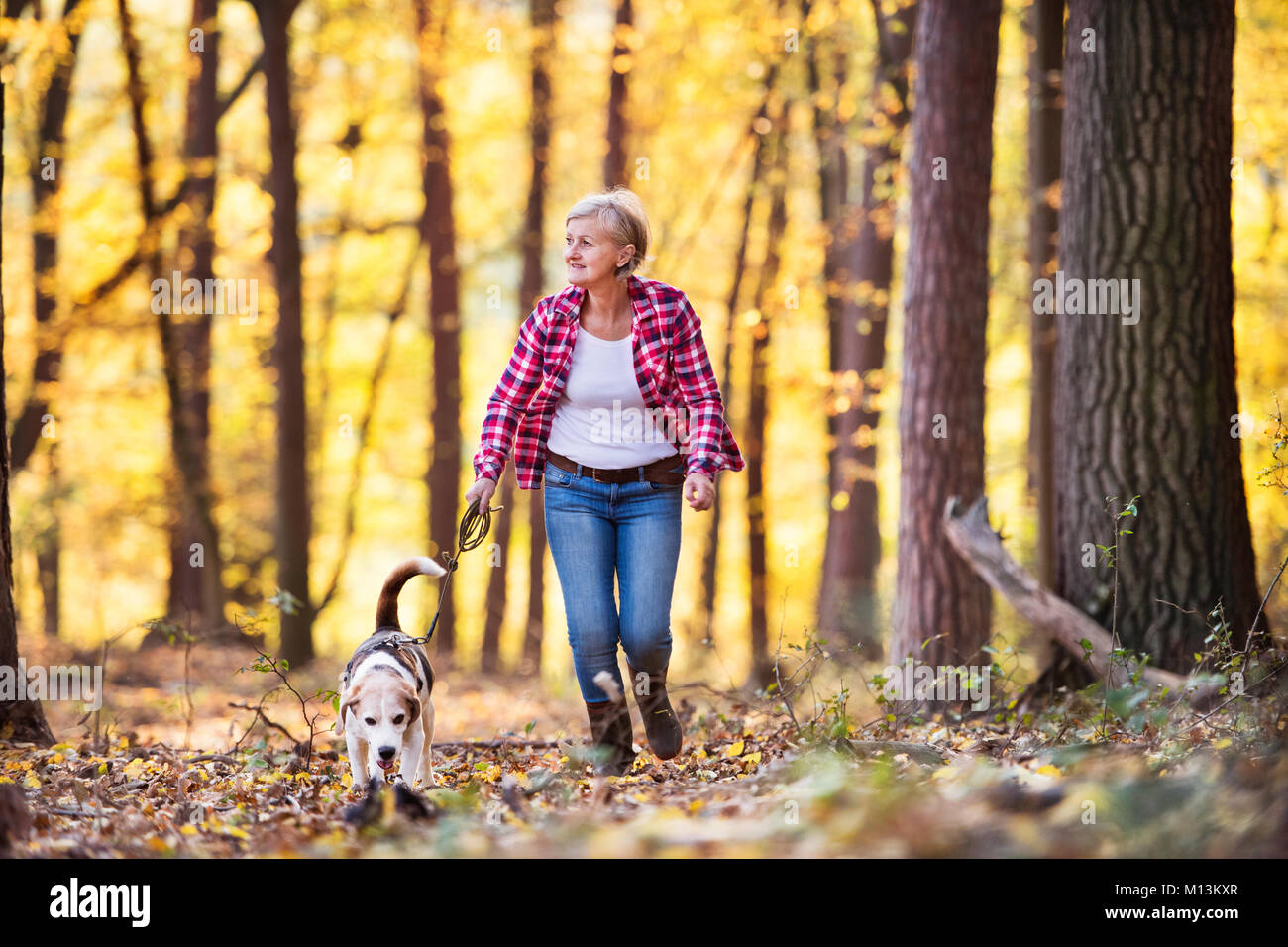 Senior woman with dog on a walk in an autumn forest. Stock Photo