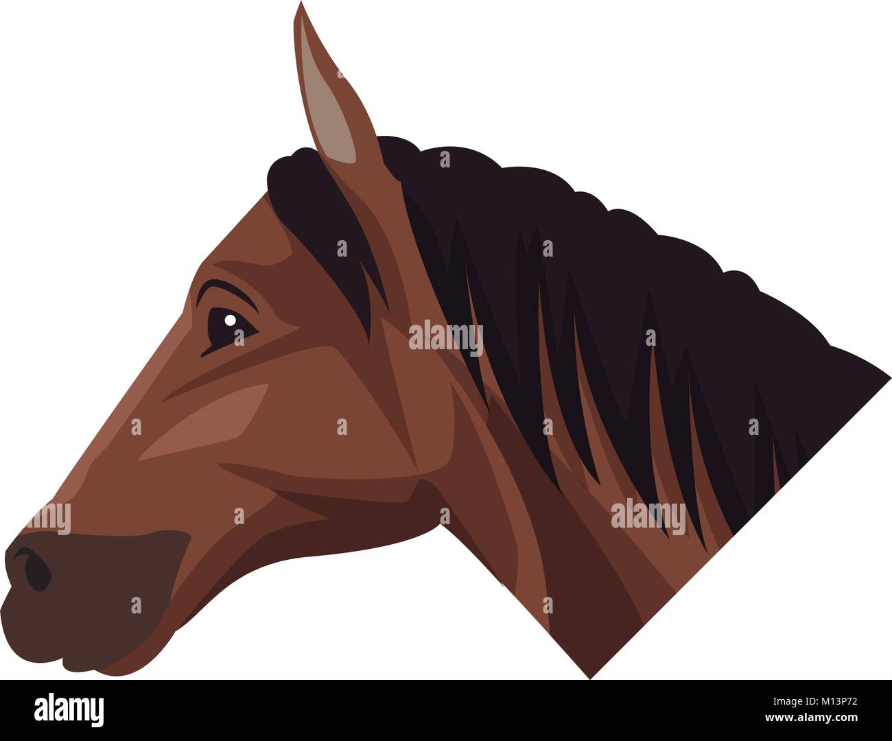 Horse head cartoon Stock Vector Image & Art Alamy