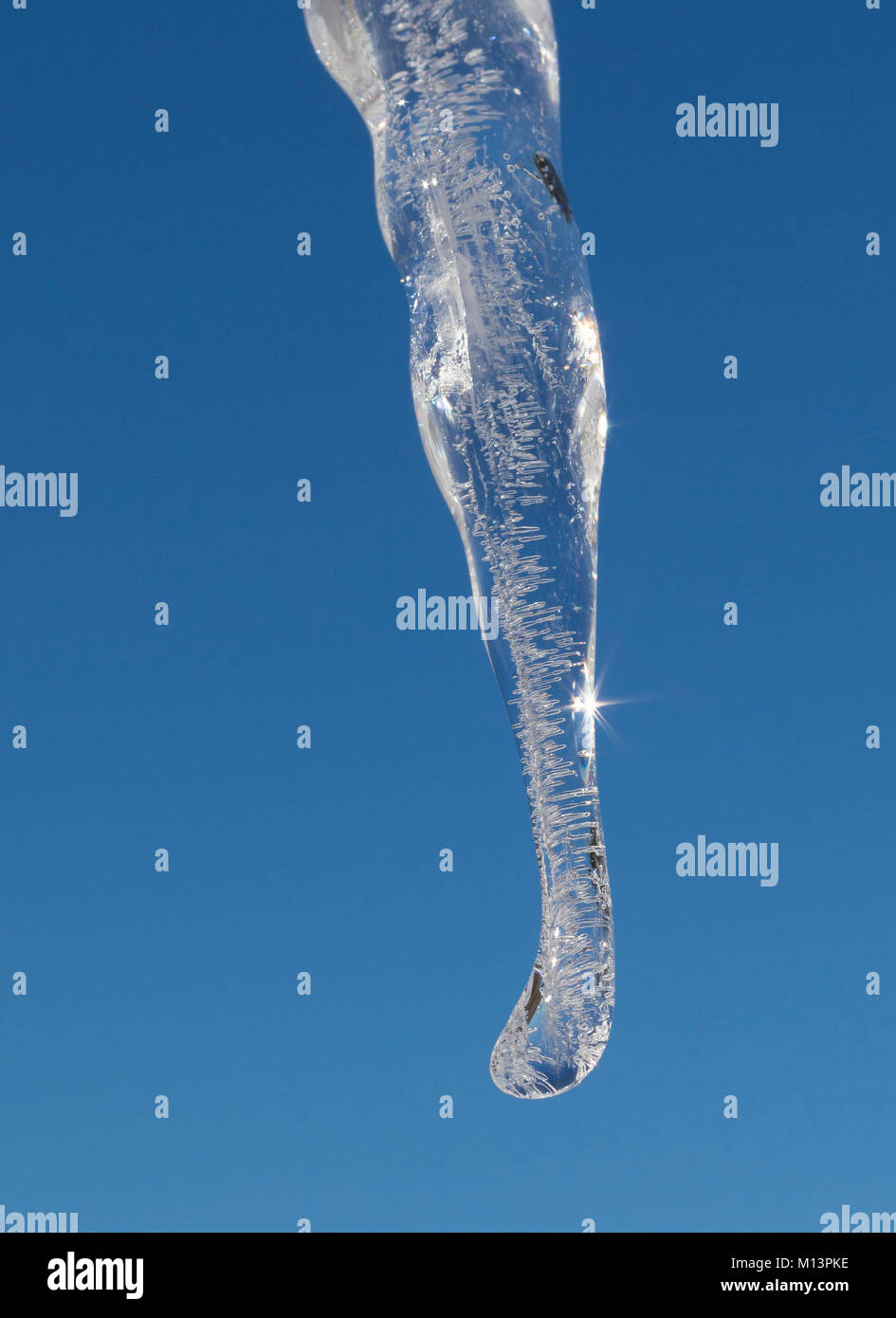 Icicle with North Carolina sky behind after the snow bomb cyclone Stock Photo