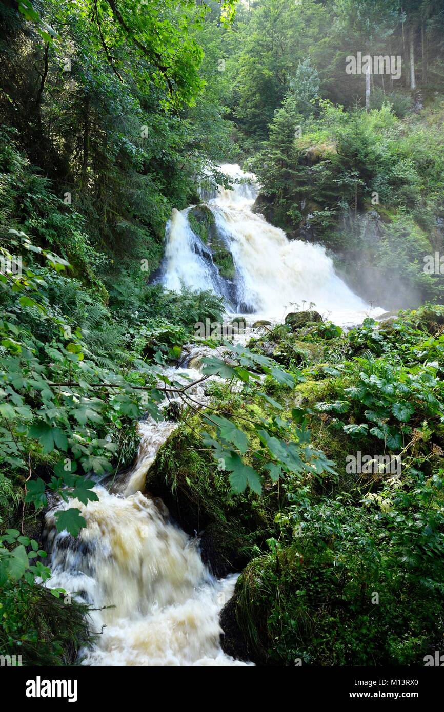 Germany, Baden Wurttemburg, Black Forest, Triberg, Triberg Waterfalls, Germany's highest waterfalls Stock Photo