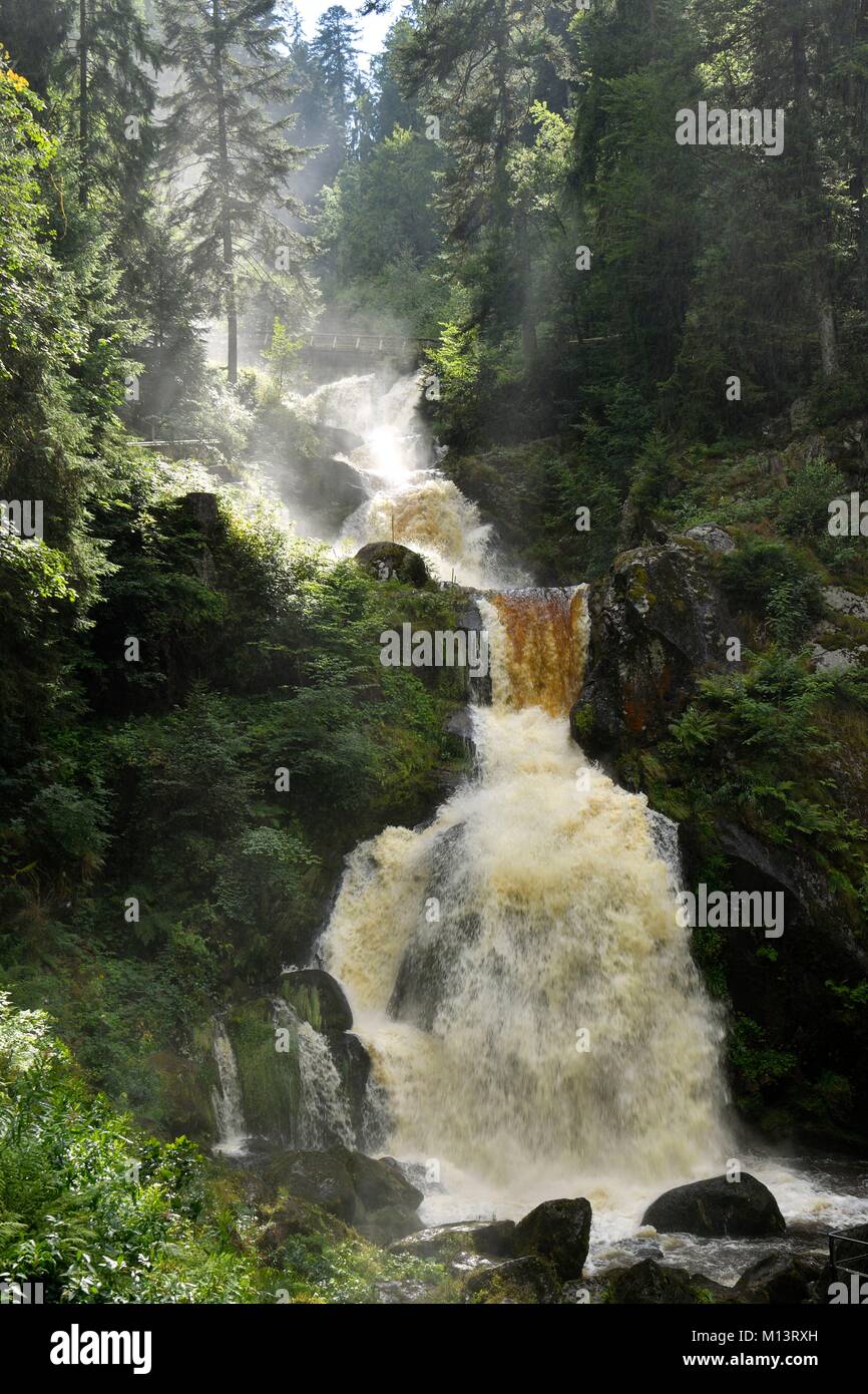 Germany, Baden Wurttemburg, Black Forest, Triberg, Triberg Waterfalls, Germany's highest waterfalls Stock Photo