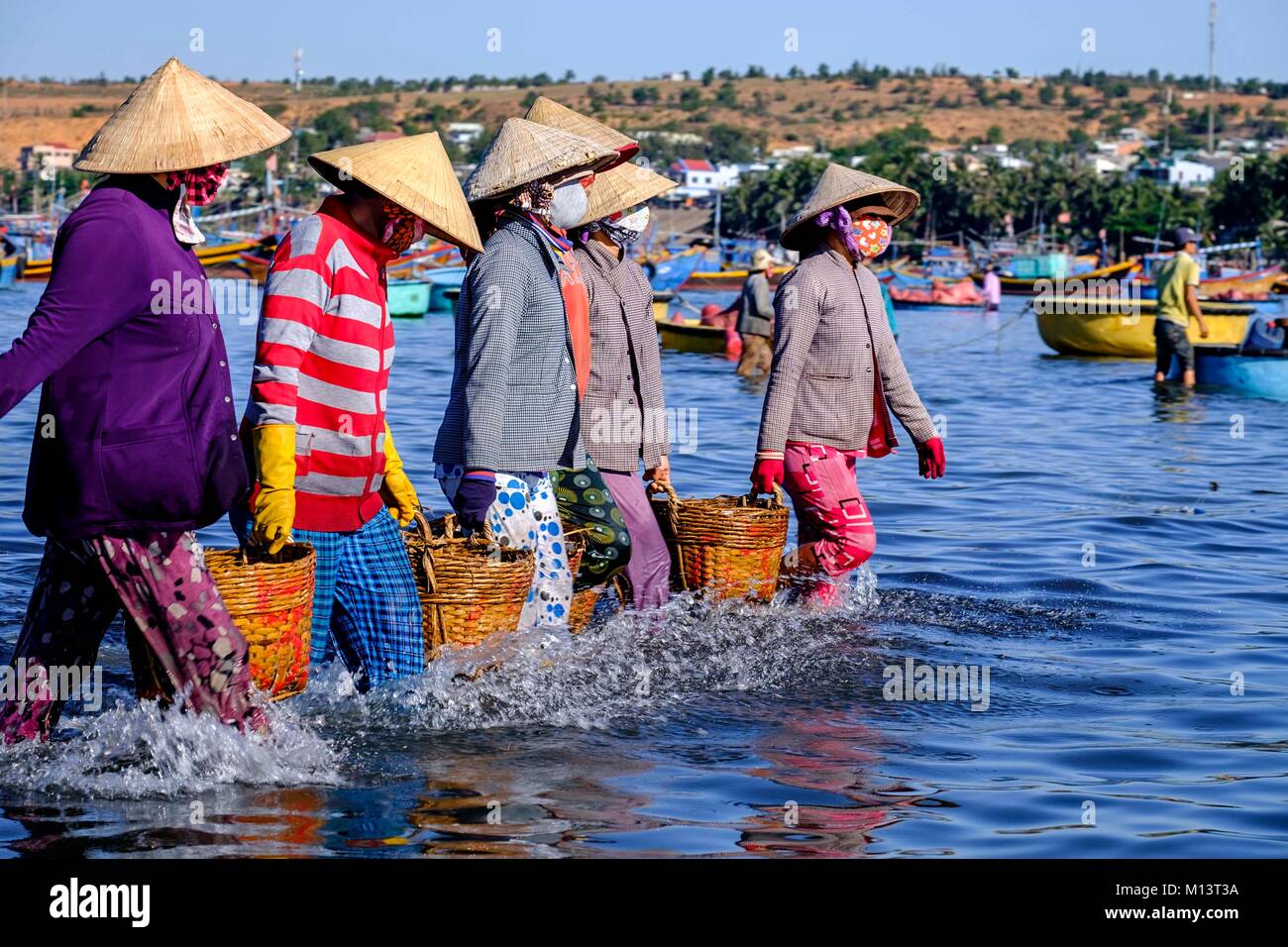 Vietnam, Binh Thuan province, Mui Ne, unloading anchovy basket on the beach Stock Photo