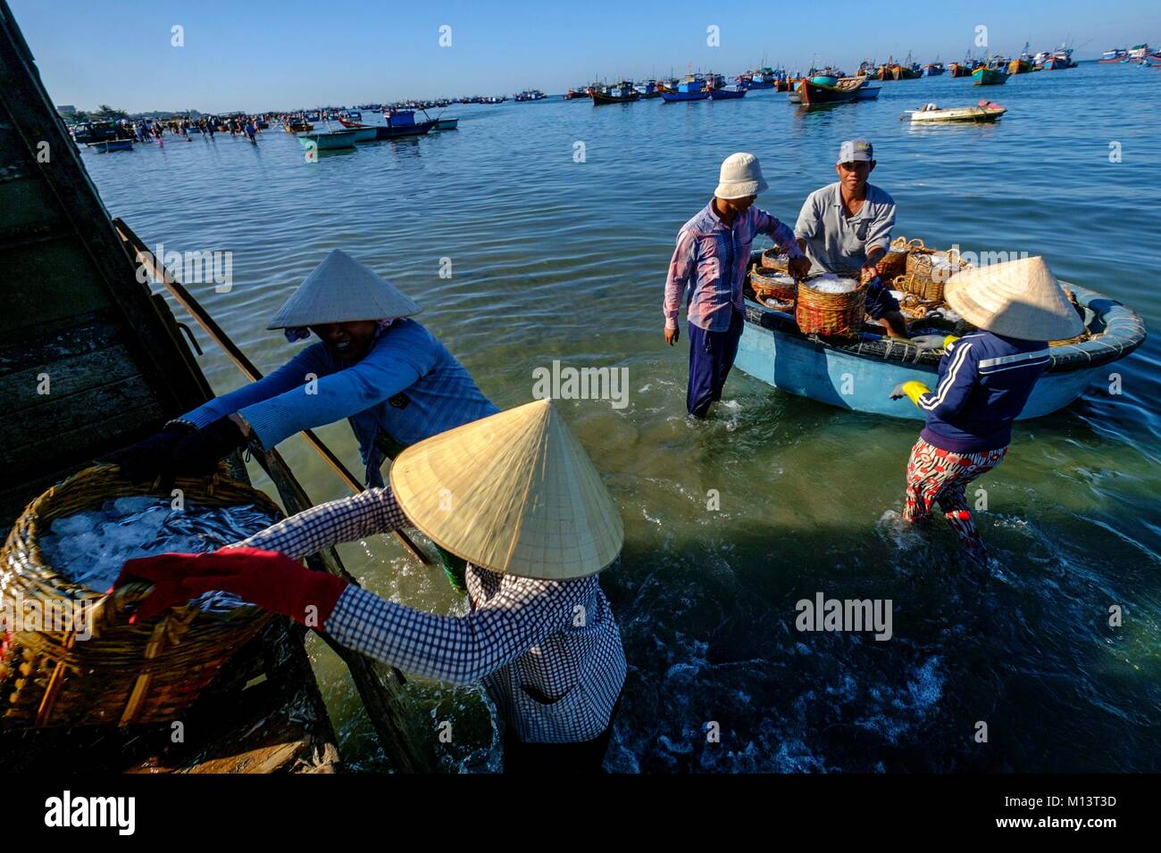 Vietnam, Binh Thuan province, Mui Ne, unloading anchovy basket on the beach Stock Photo