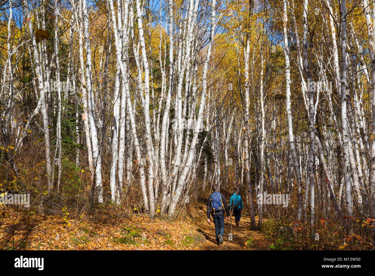 Canada, province de Québec, Canada, province de Québec, la région de l ...