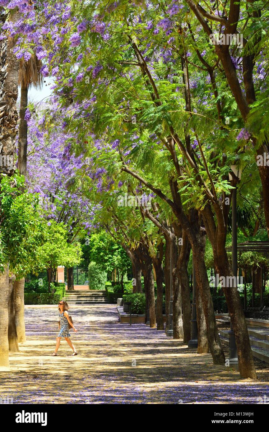 Spain, Andalusia, Sevilla, Prado de San Sebastián garden Stock Photo