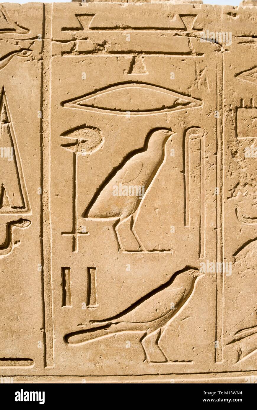 Hieroglyph Bird Stock Photos & Hieroglyph Bird Stock Images Alamy