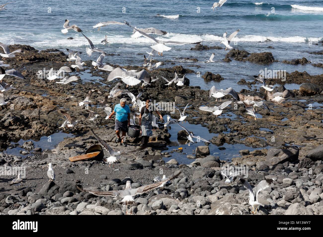 Spain, Canary Islands, Lanzarote Island, gulls flying over two men carrying fishes Stock Photo