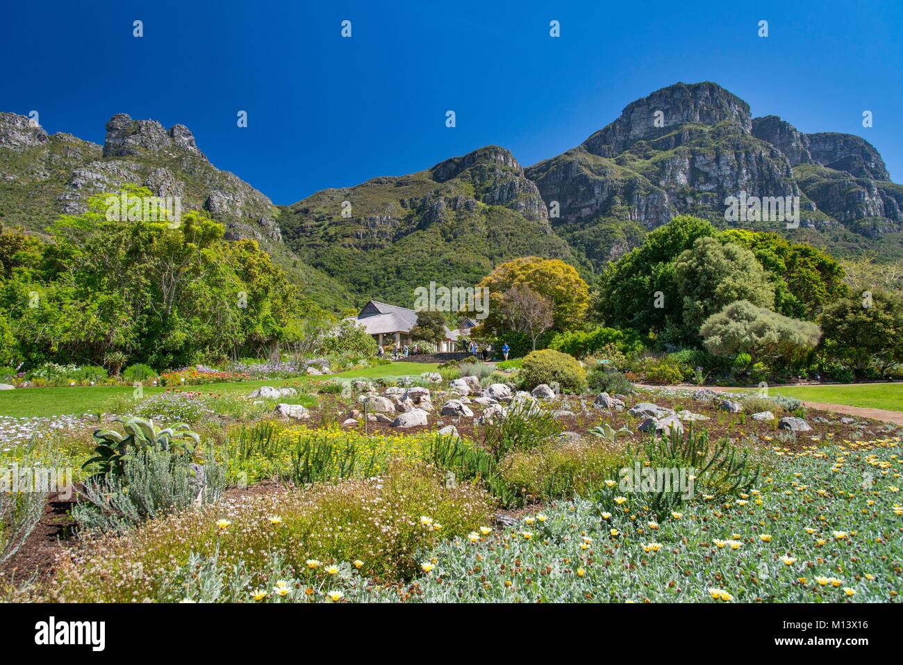 South Africa, Western Cape, Cape Town, Jardin botanique national Kirstenbosch Stock Photo
