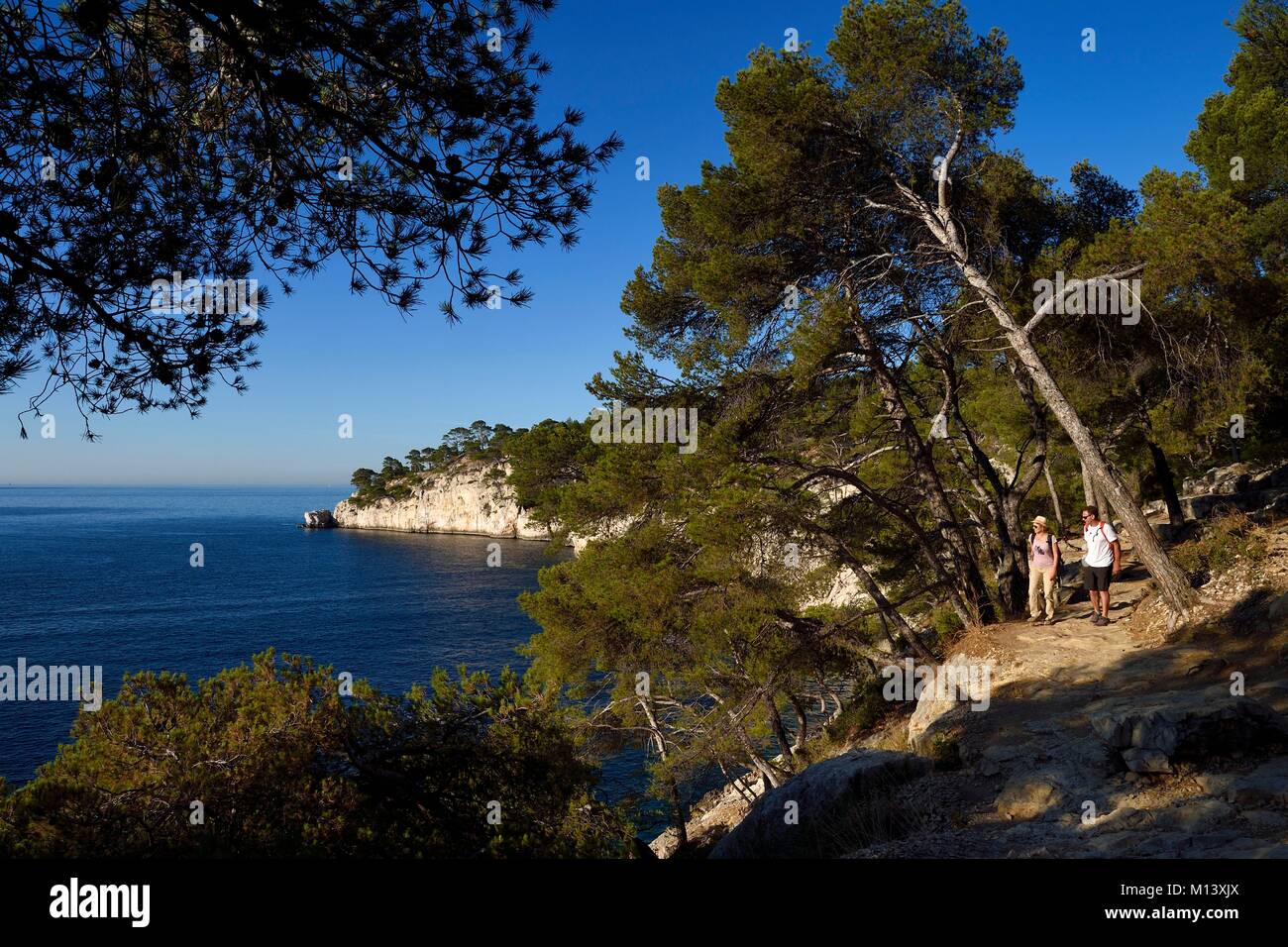 France, Bouches du Rhone, Marseille, National Park of the Calanques, Calanque de Port Pin (cove), Andre Bernard founder of the Cassis guide office hiking (request for authorization necessary before publication) Stock Photo
