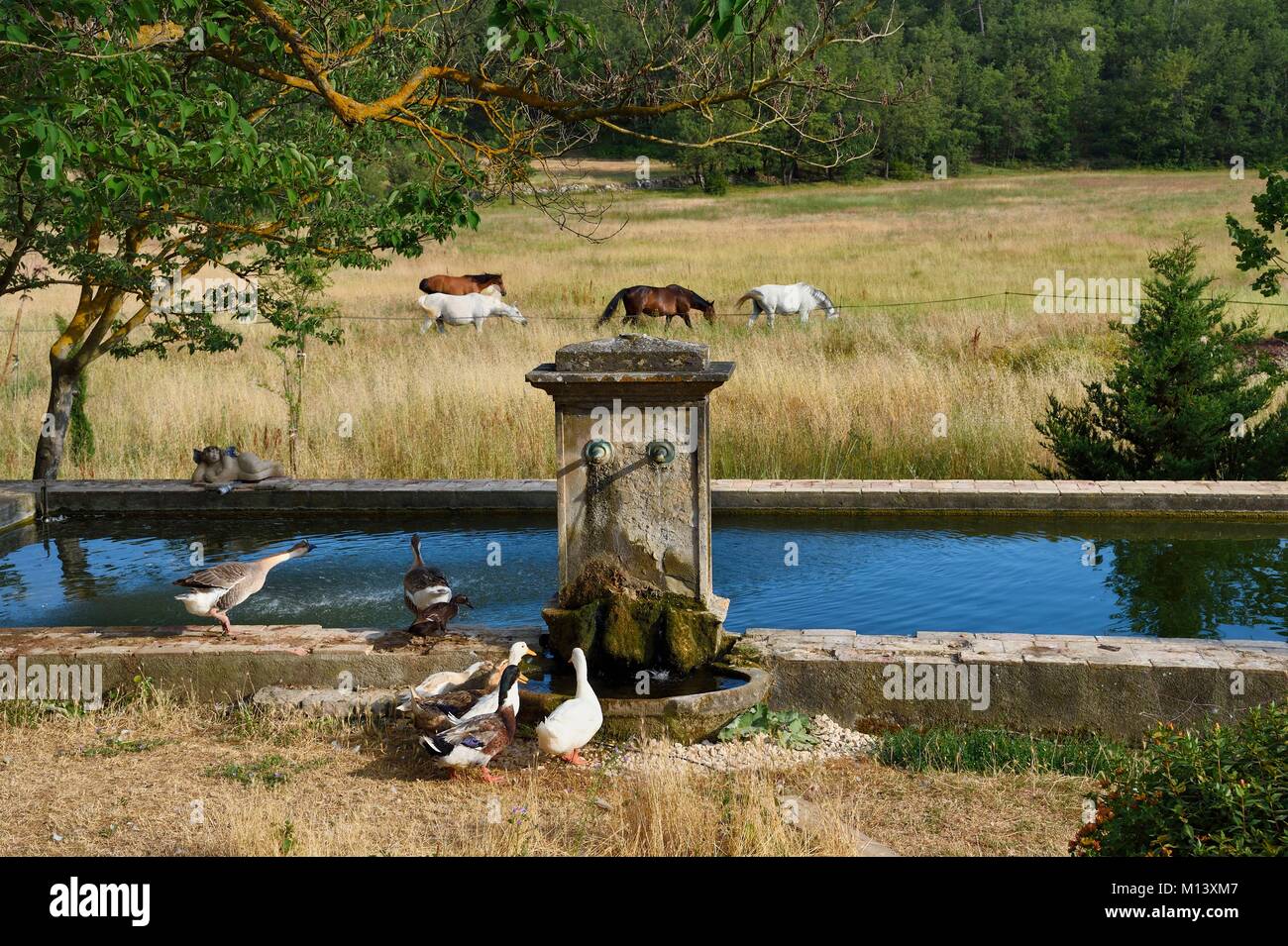 France, Var, Provence Verte (Green Provence), Bras village next to ...