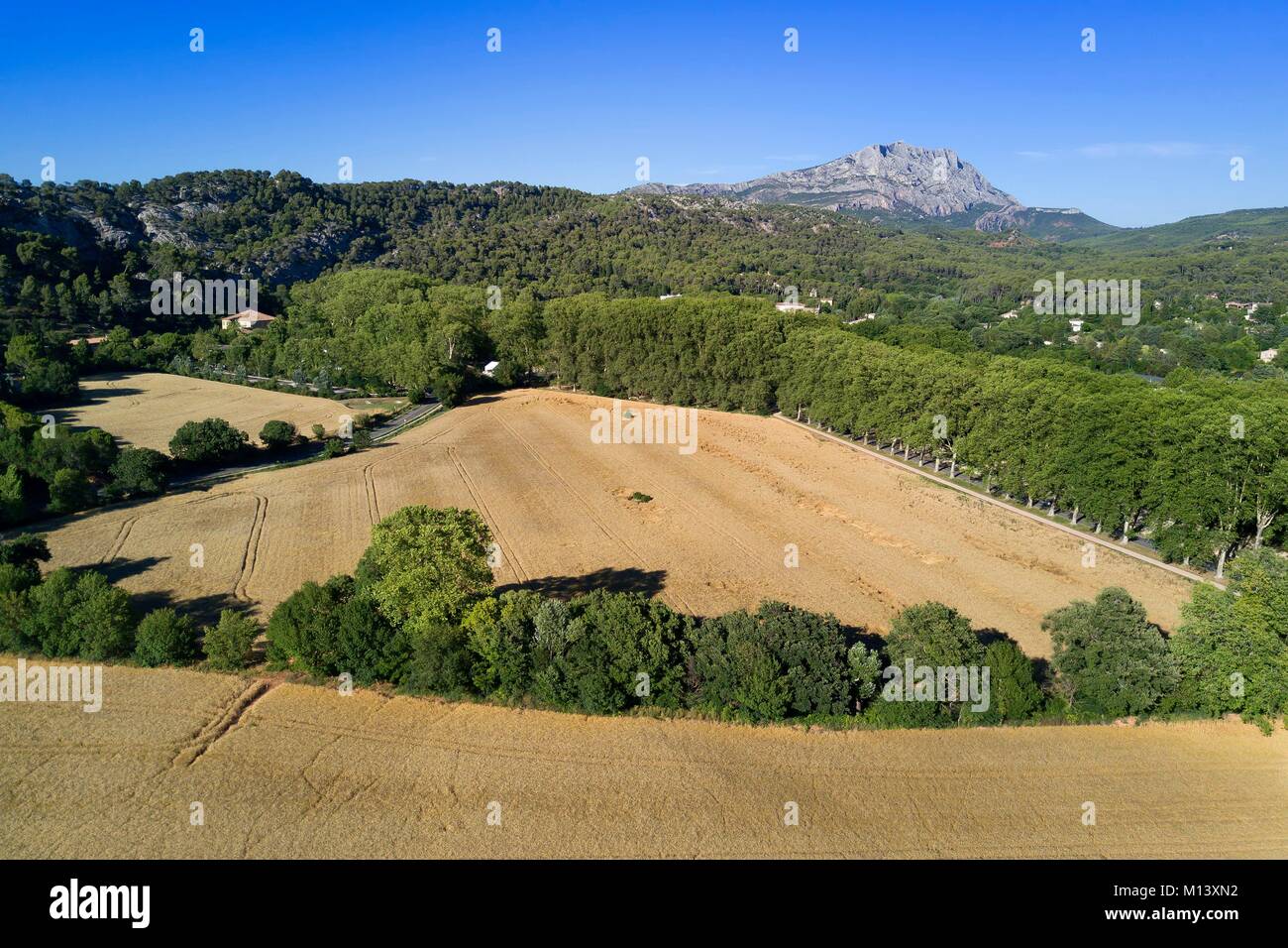 France, Bouches du Rhone, Aix en Provence region, towards the Tholonet, barley field in front of the Sainte Victoire mountain, Cezanne road (aerial view) Stock Photo