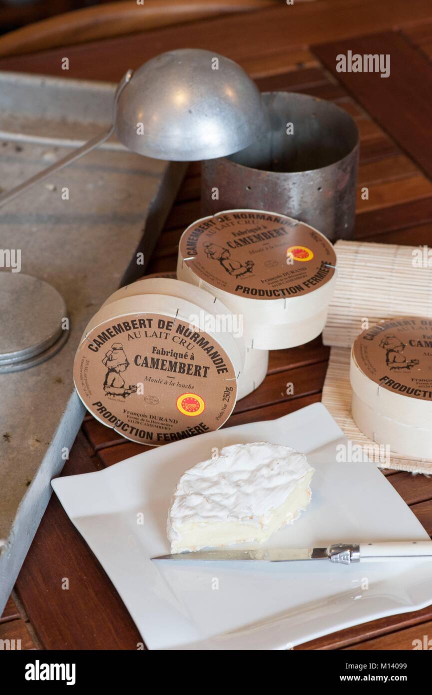 France, Orne, Camembert, maturing farmed Camembert AOP cast with ladle Nicolas Durand Stock Photo