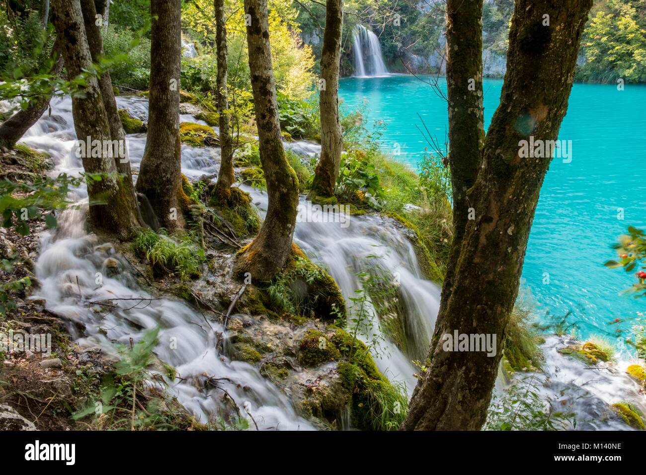 Croatia, North Dalmatia, Plitvice Lakes National Park listed as World Heritage by UNESCO, Lower lakes Stock Photo