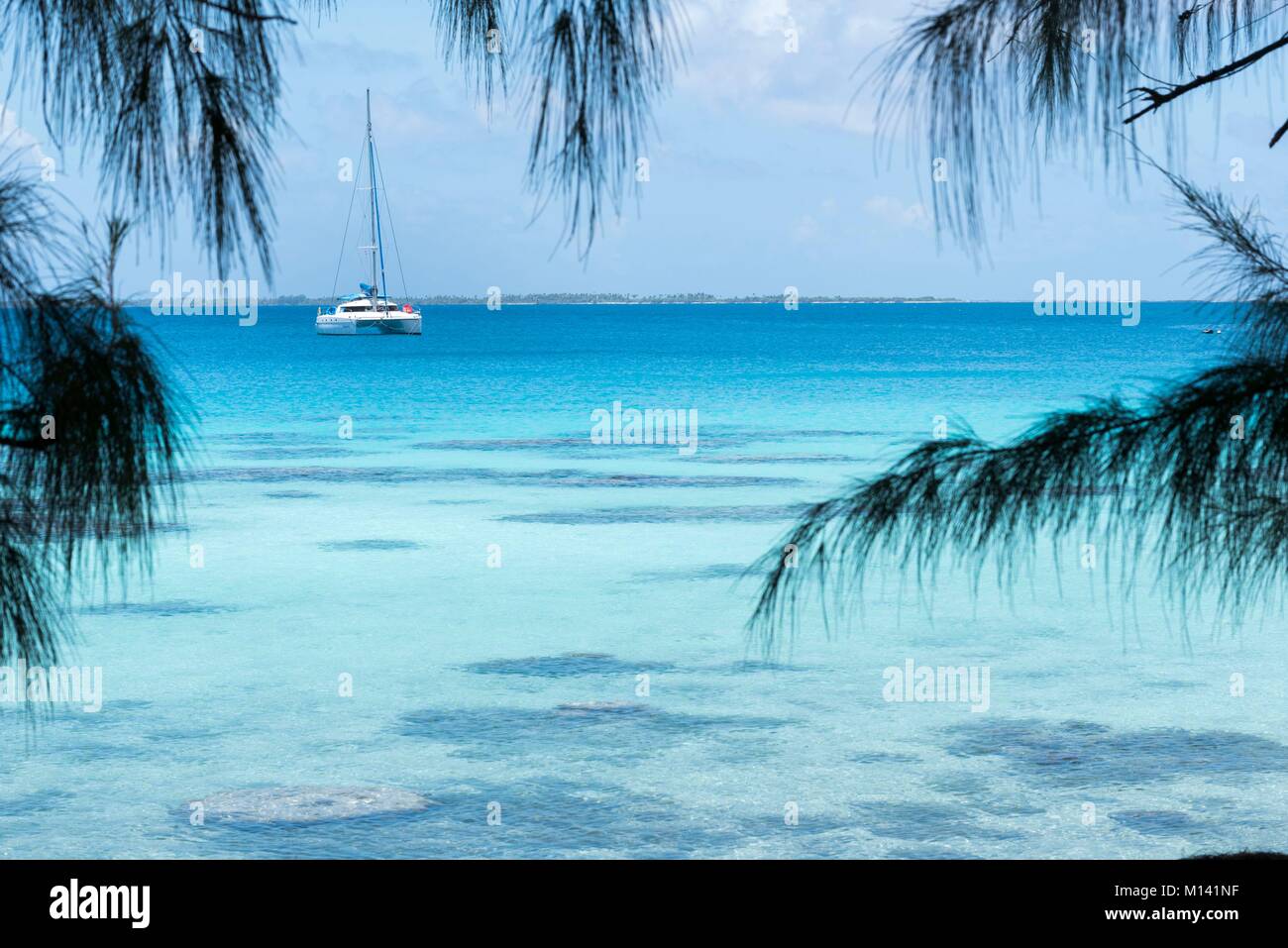 France, French Polynesia, Tuamotu Archipelago, Fakarava Atoll, Rotoava, UNESCO Biosphere Reserve, catamaran anchored in the lagoon Stock Photo