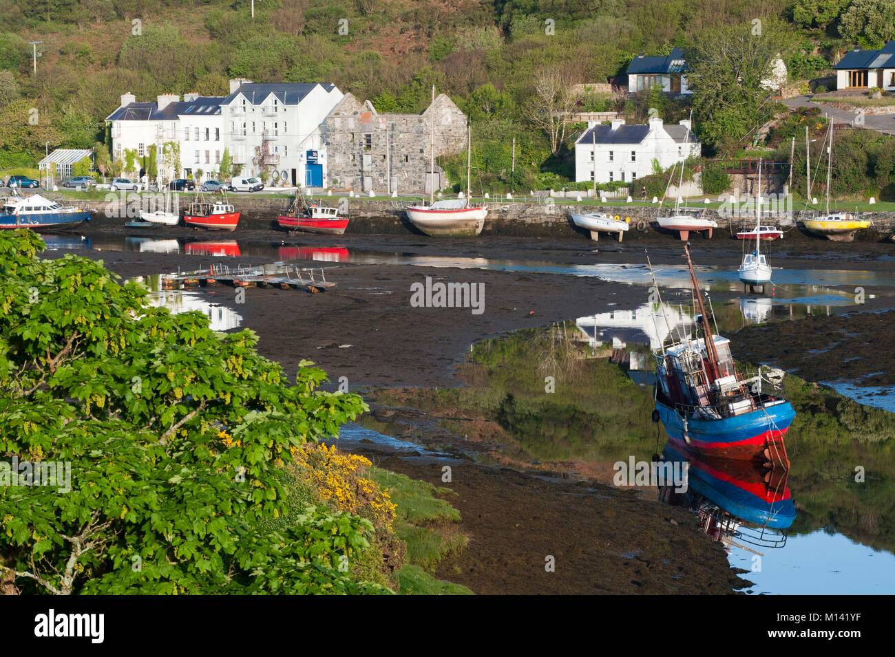 Ireland, County Galway, Clifden, harbour at low tide Stock Photo