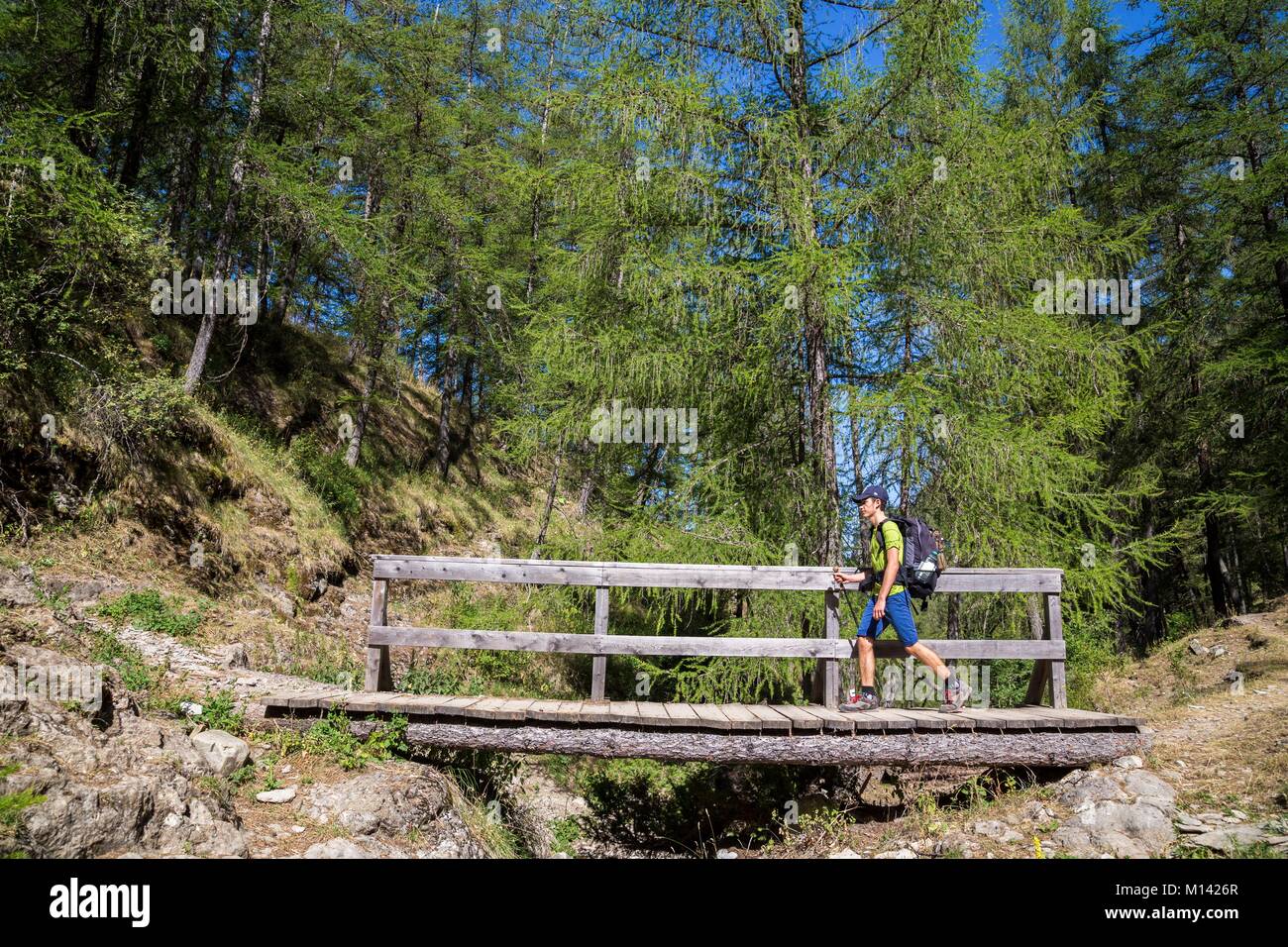 France, Alpes de Haute Provence, National Park of Mercantour, Haut Verdon, Colmar, hiking to Lake Lignin Stock Photo
