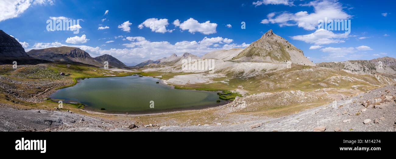 France, Alpes de Haute Provence, National Park of Mercantour, Haut Verdon, Colmar, plateau of the lake Lignin (2276m) Stock Photo
