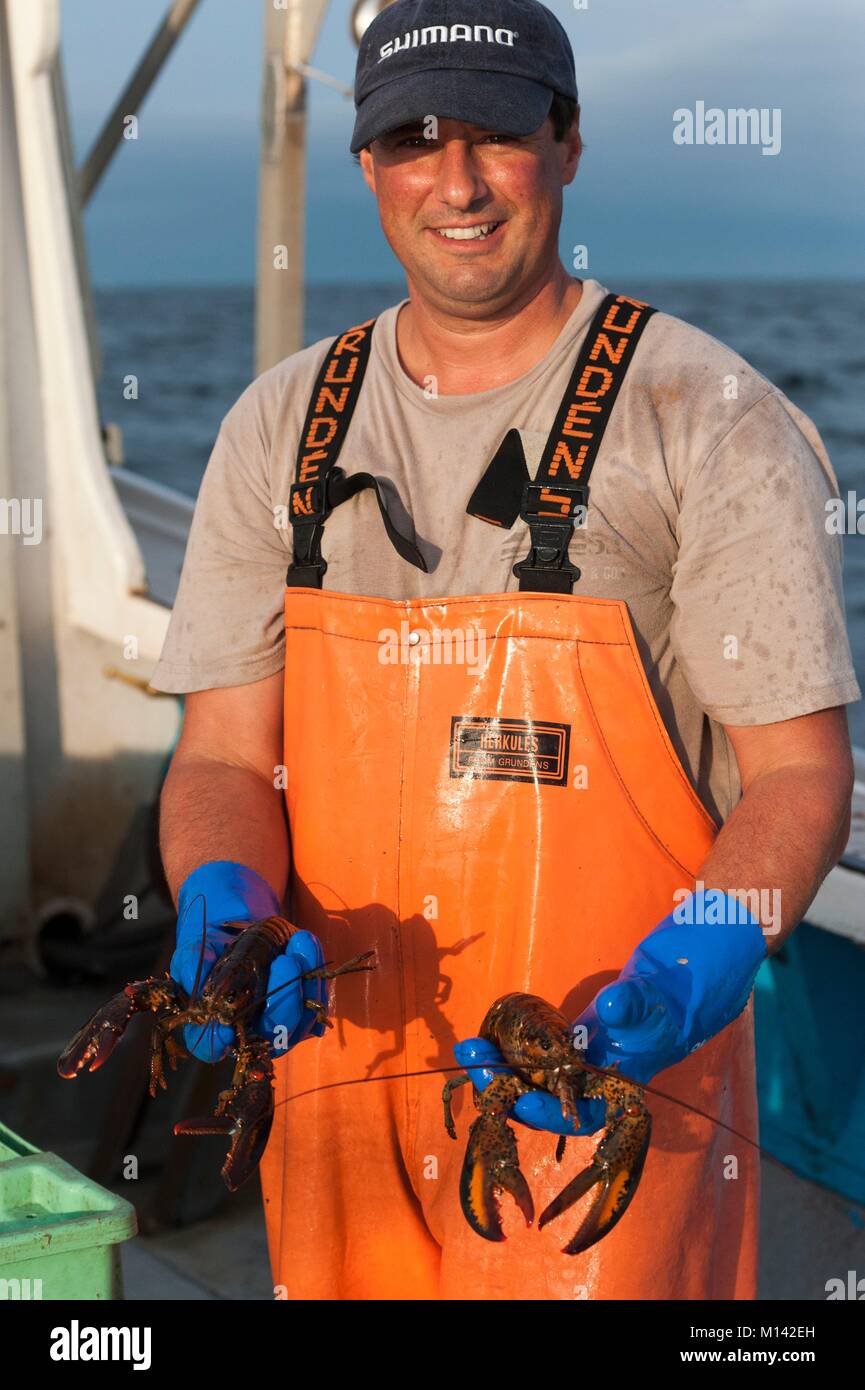 Canada, New Brunswick, Cap Pele, lobster fishing (Homarus Americanus