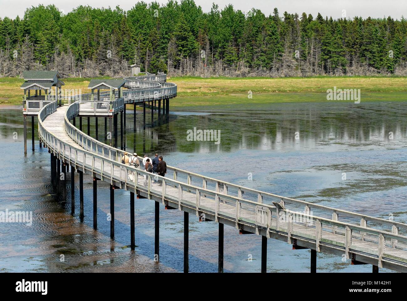 Canada, New Brunswick, Lameque, Acadian Peninsula eco park Stock Photo