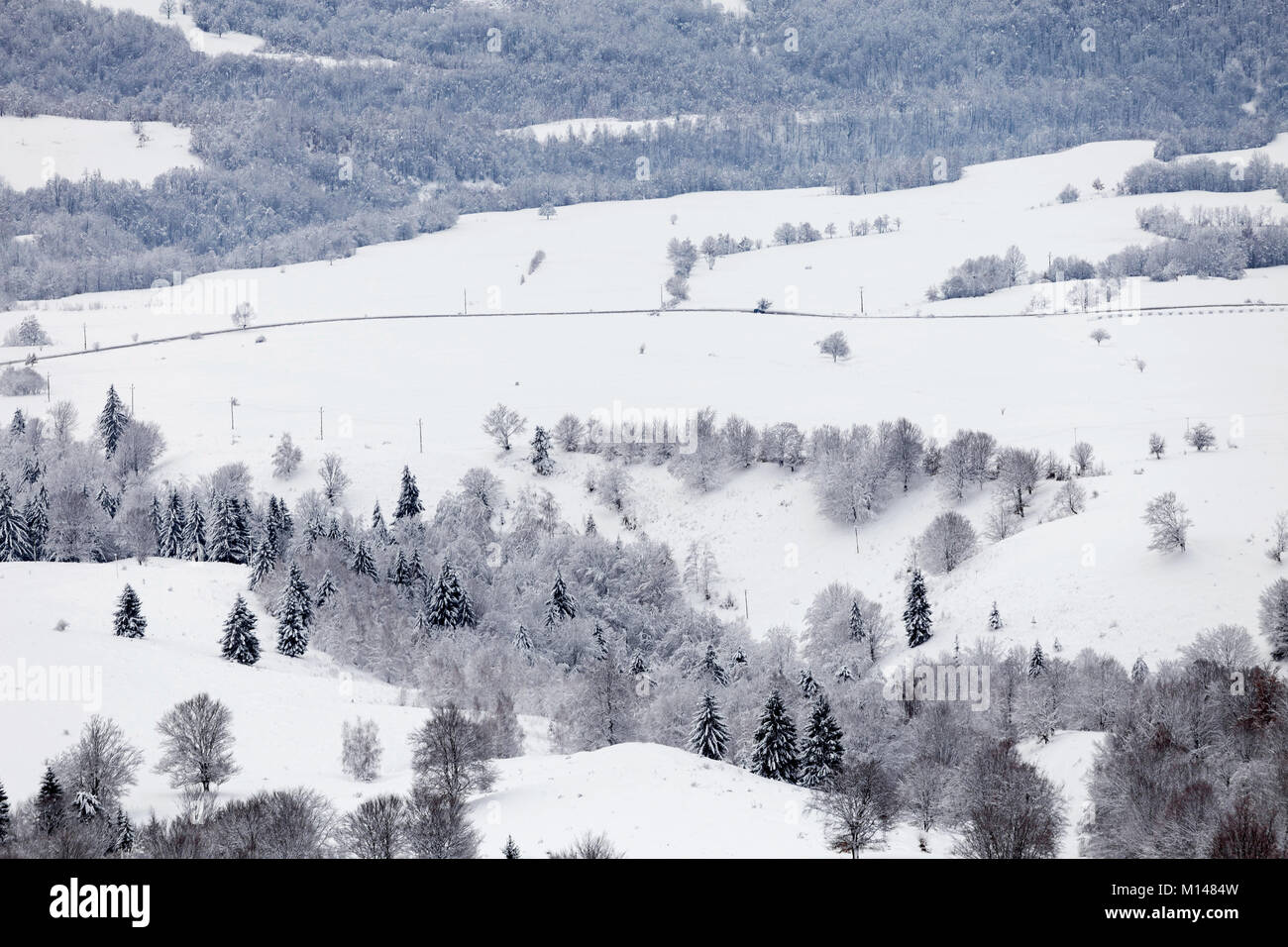Winter landscape of the frosty forest Stock Photo - Alamy