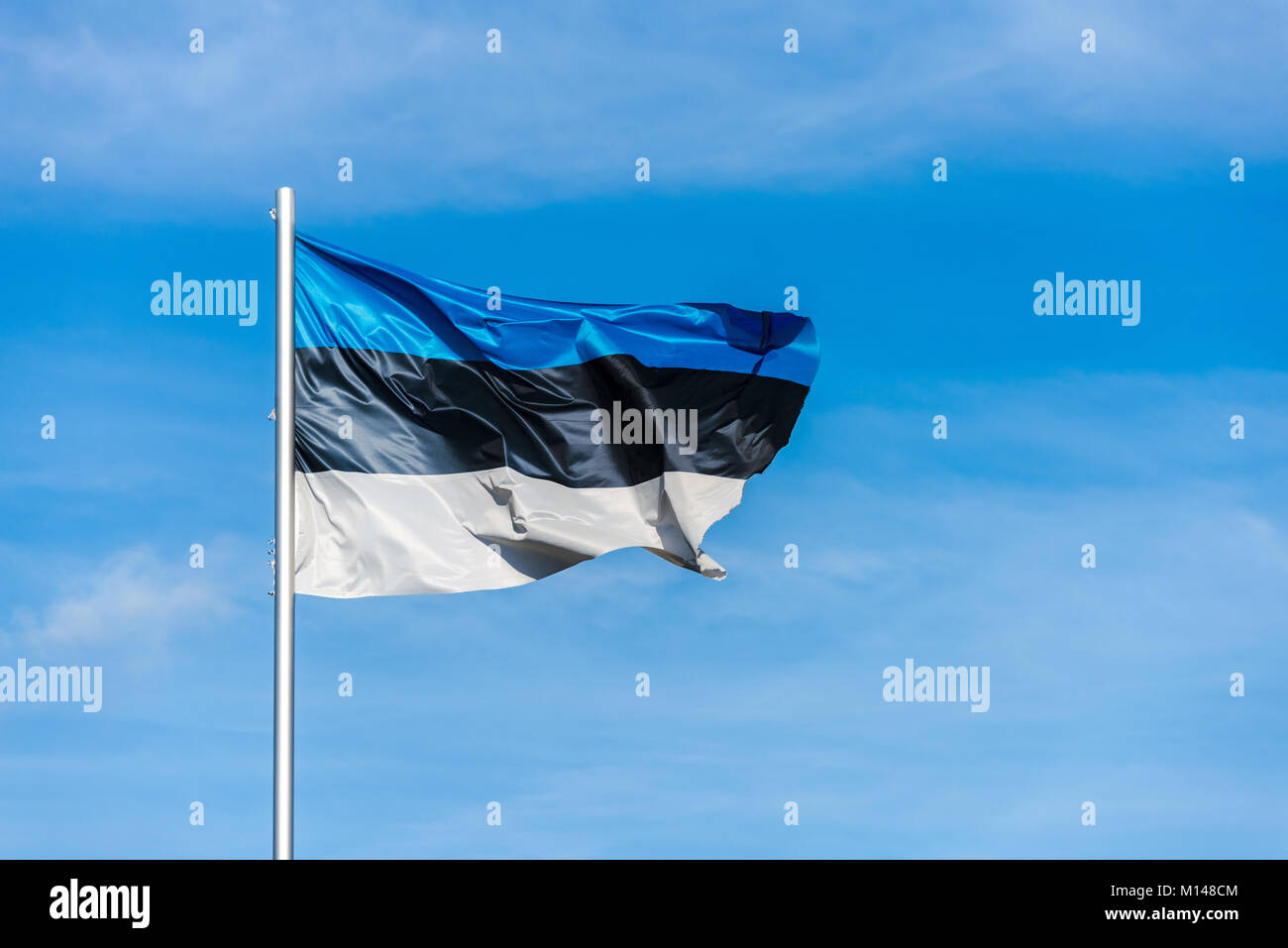 Closeup of single estonian tricolor flag waving in the wind in front of ...