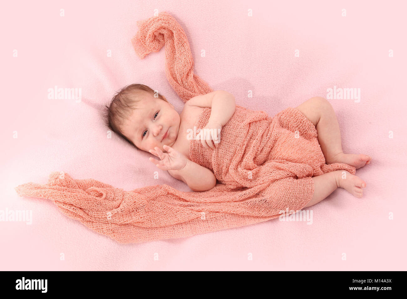 6 week old baby girl snug in swaddling blanket Stock Photo Alamy