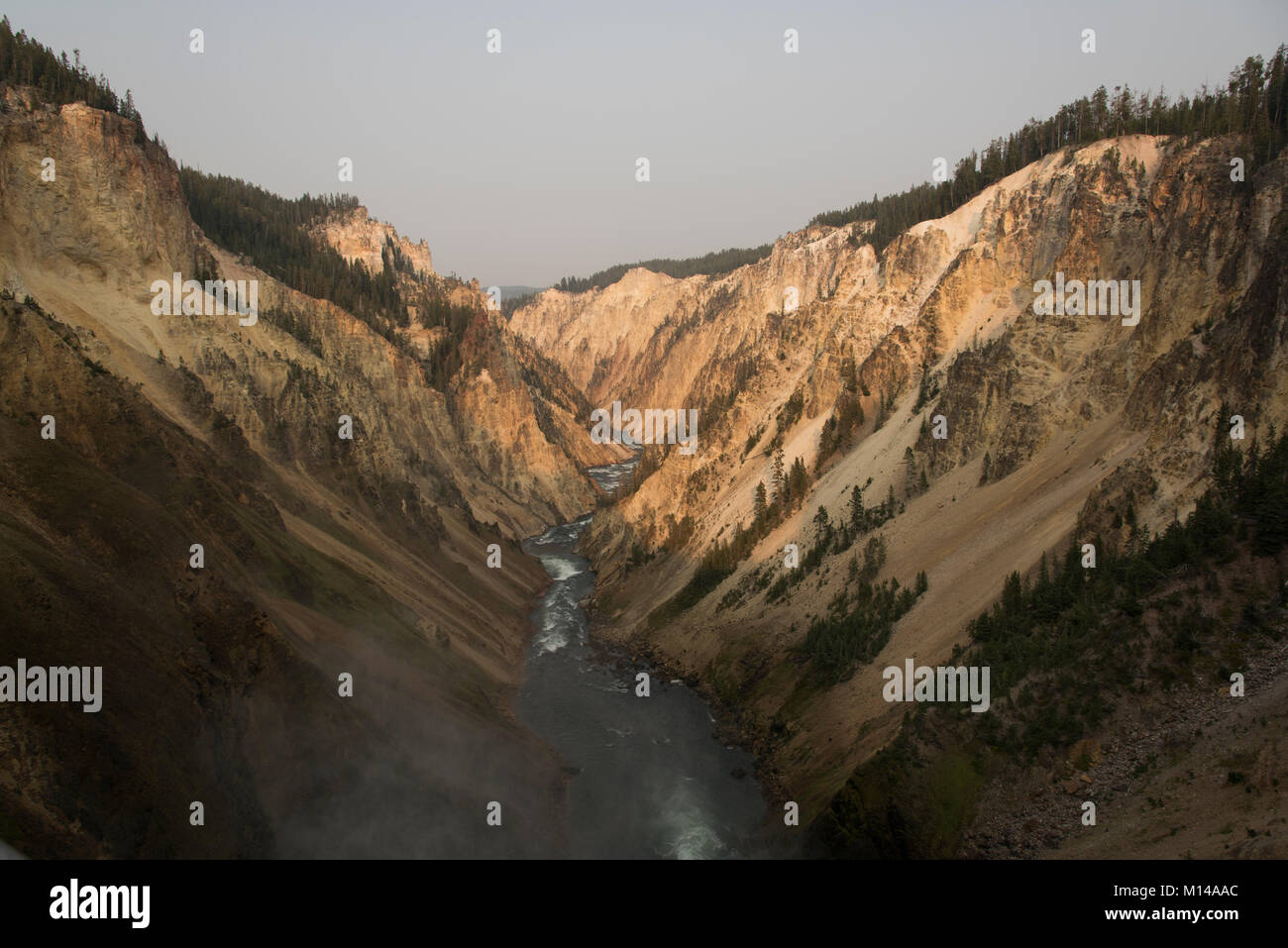 The Yellowstone River flows through the Grand Canyon of the Yellowstone. Stock Photo