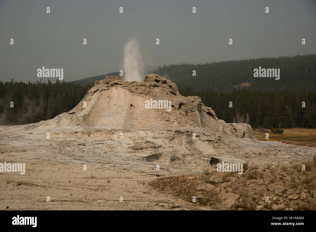 Castle Geyser is a cone geyser with the largest cone and oldest age of