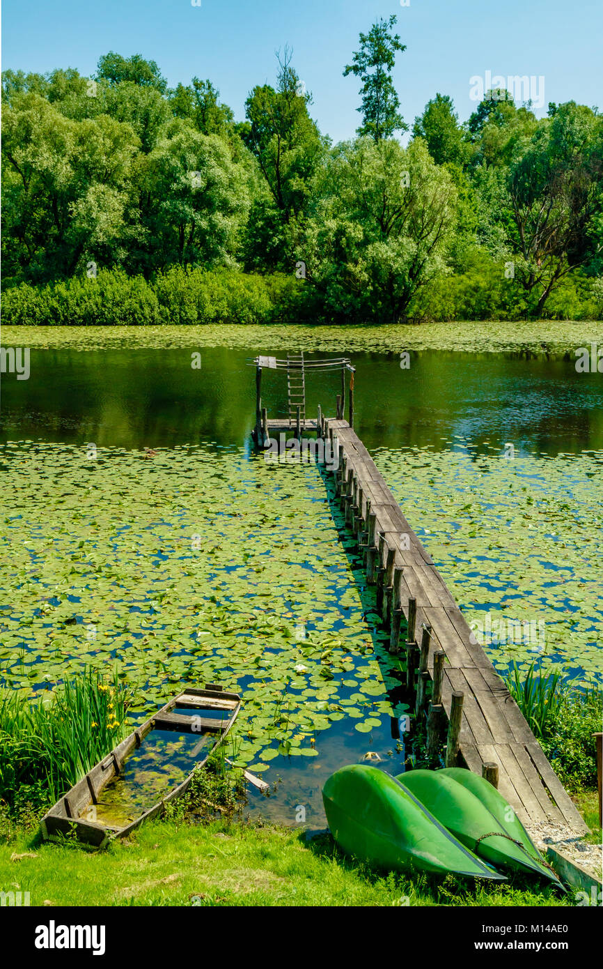 Jetty with broken wooden boat surrounded by lily pads on the river Sava oxbow lake near Lonjsko Polje nature park wetland in the Danube basin,Croatia. Stock Photo
