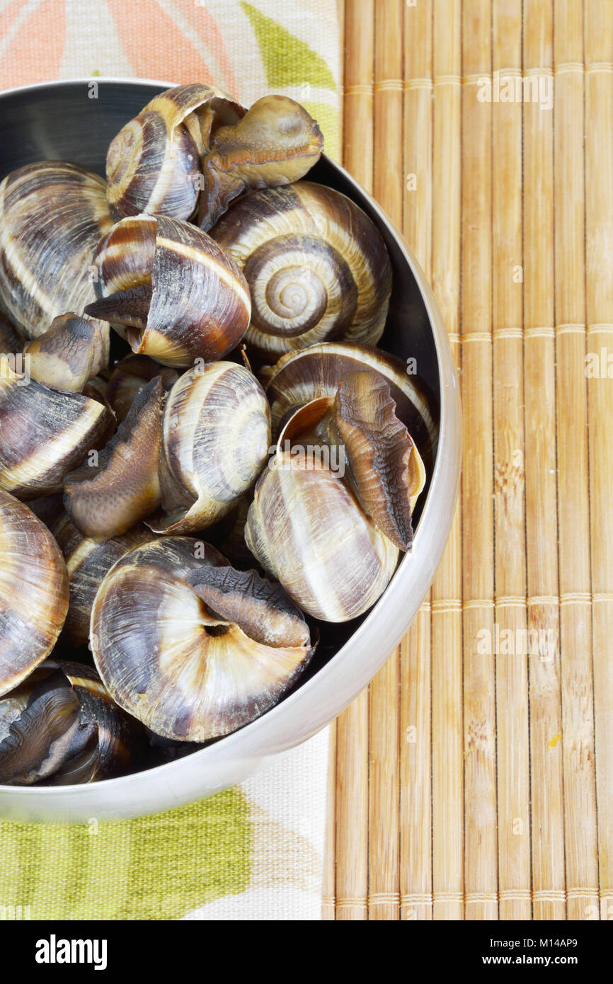 Cooked snails in a bowl Stock Photo Alamy