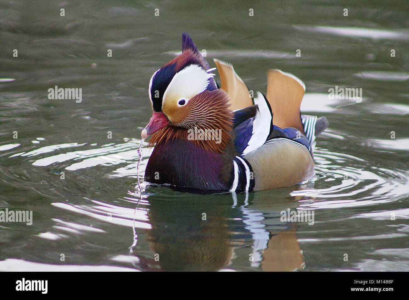 louis vuitton monogram mabillon