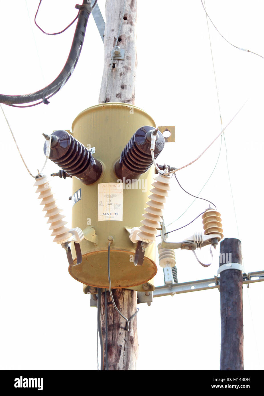 Electrical power-line transformer on wooden pole at Zebula, Bela-Bela (Warmbaths), Waterberg, Limpopo Province, South Africa. Stock Photo