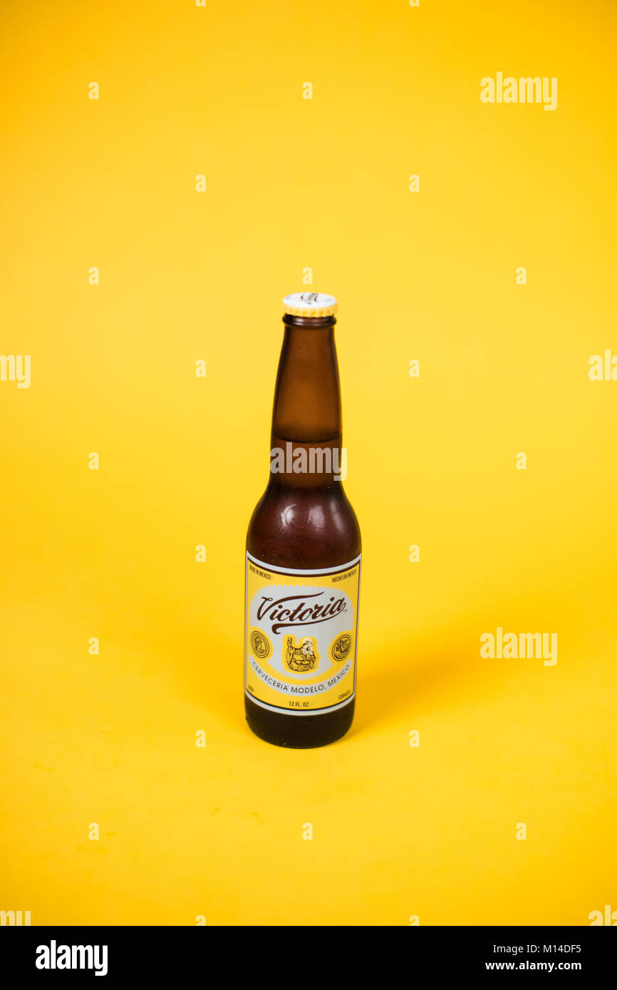 A bottle of Victoria beer with a bright yellow backdrop Stock Photo