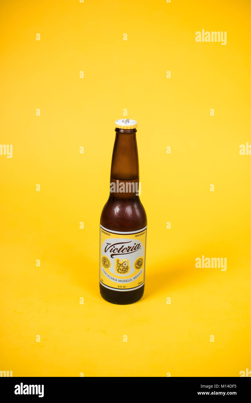 A bottle of Victoria beer with a bright yellow backdrop Stock Photo Alamy