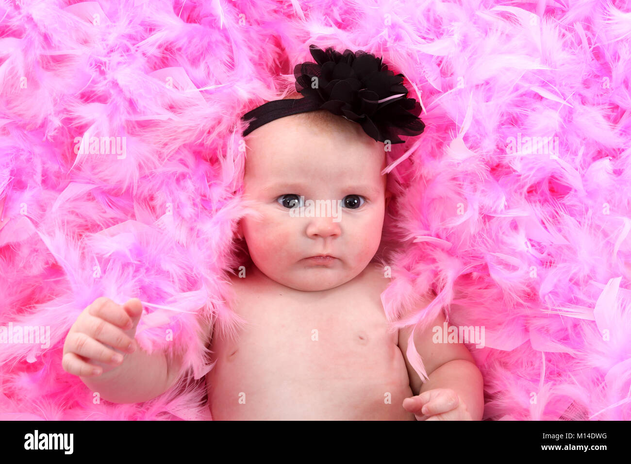 15 week old baby girl laying down on bed of feathers Stock Photo Alamy