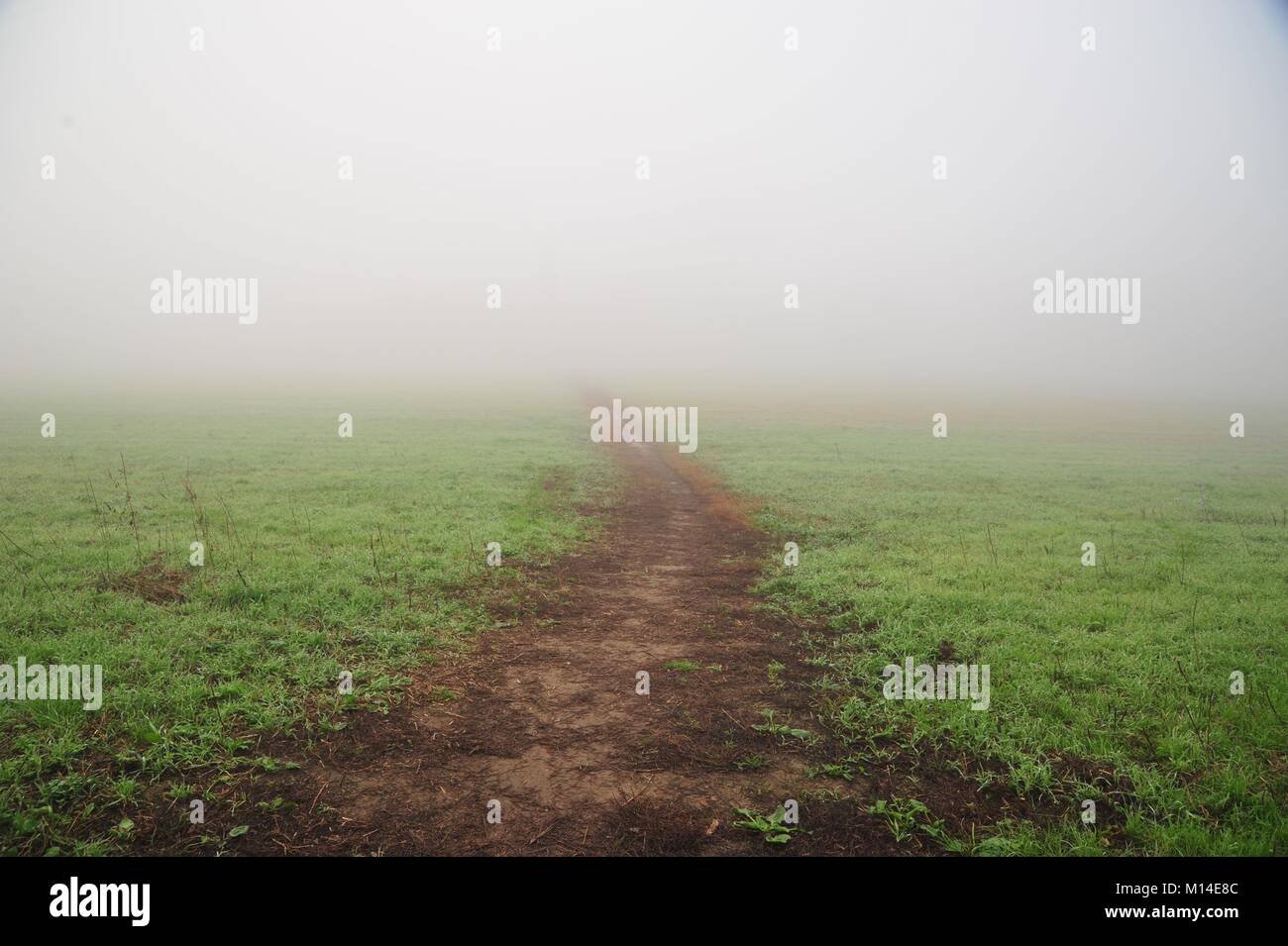 Mystical foggy path with unknow end in Berlin Kladow nearby lake Glienicke Stock Photo