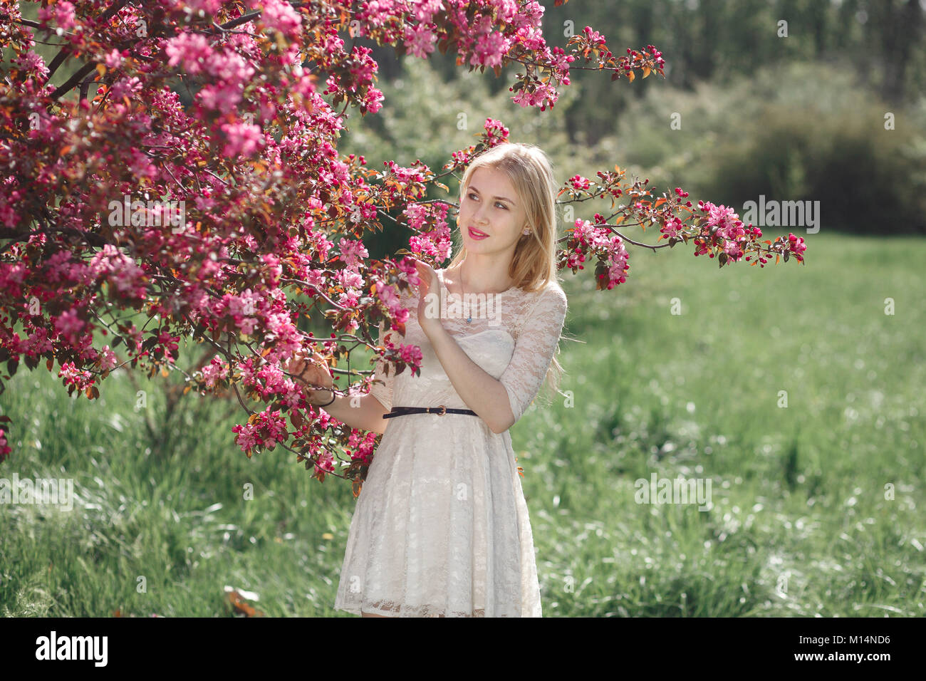 Beautiful young blonde woman enjoying sunny day in park during cherry blossom season on a nice spring day Stock Photo