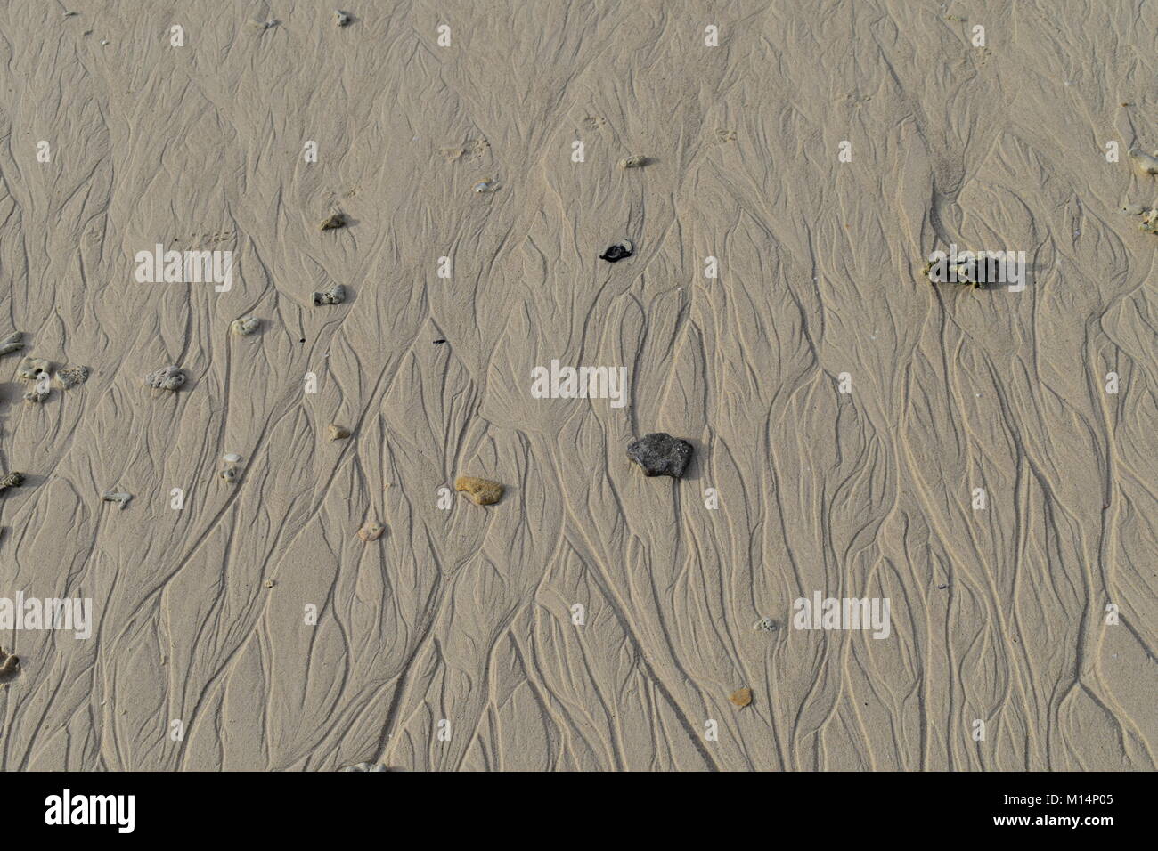 Stones on beach sand hi-res stock photography and images - Alamy